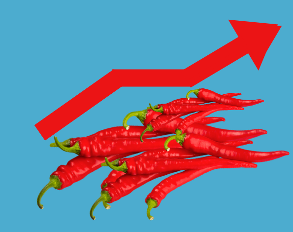 Cabai, Si Kambing Hitam Inflasi