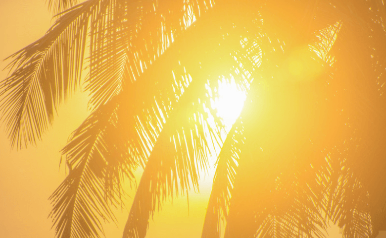 BMKG : Indonesia Masuk Musim Pancaroba, Waspada Cuaca Ekstrem