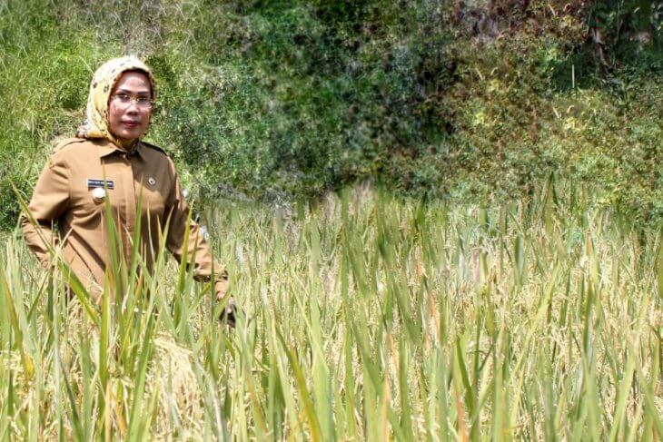 Jokowi Anugerahi Bupati Serang Satyalancana Wira Karya