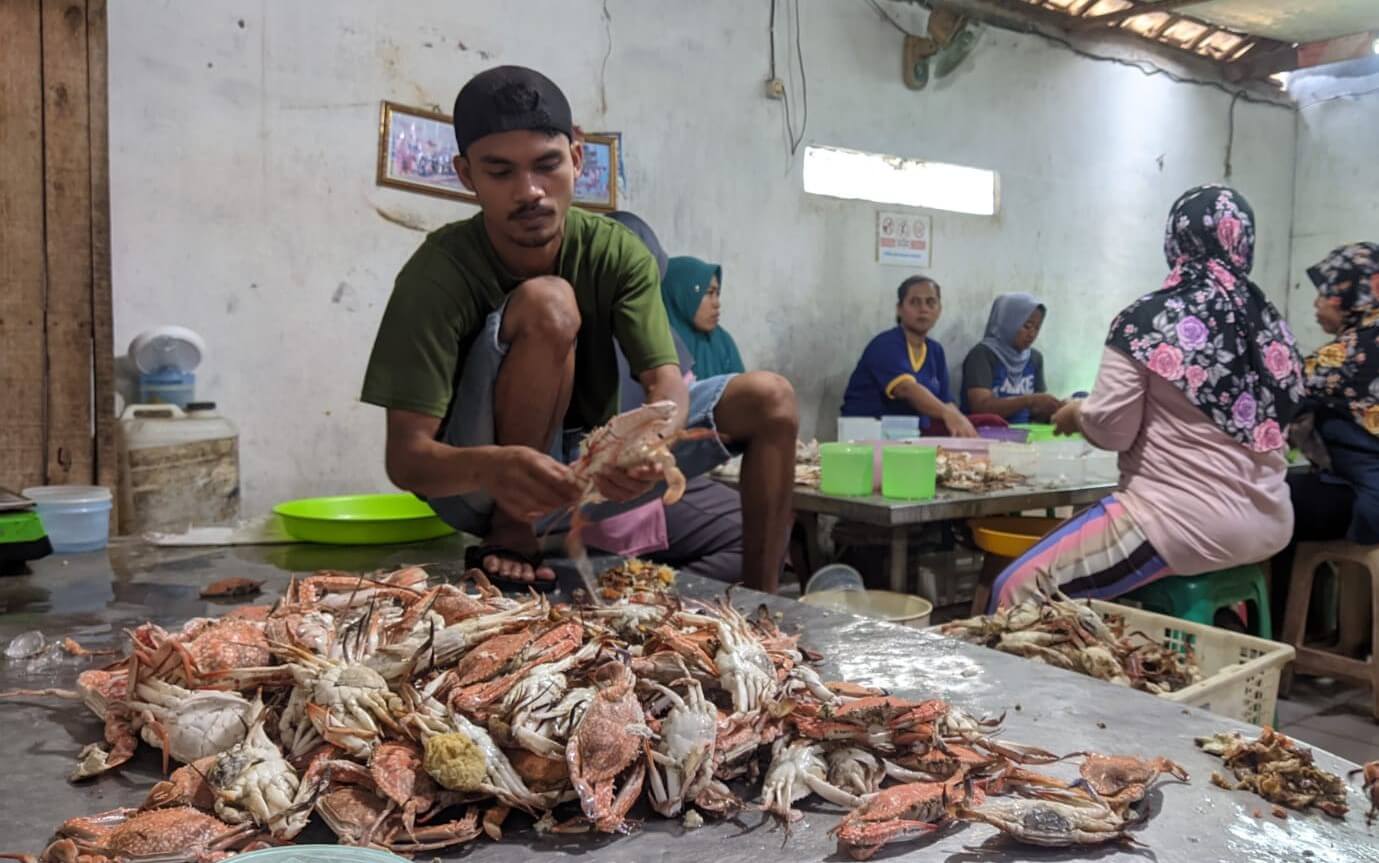 Usaha Rajungan : Bisa Kirim untuk Ekspor, Harga  Anjlok Sejak Pandemi