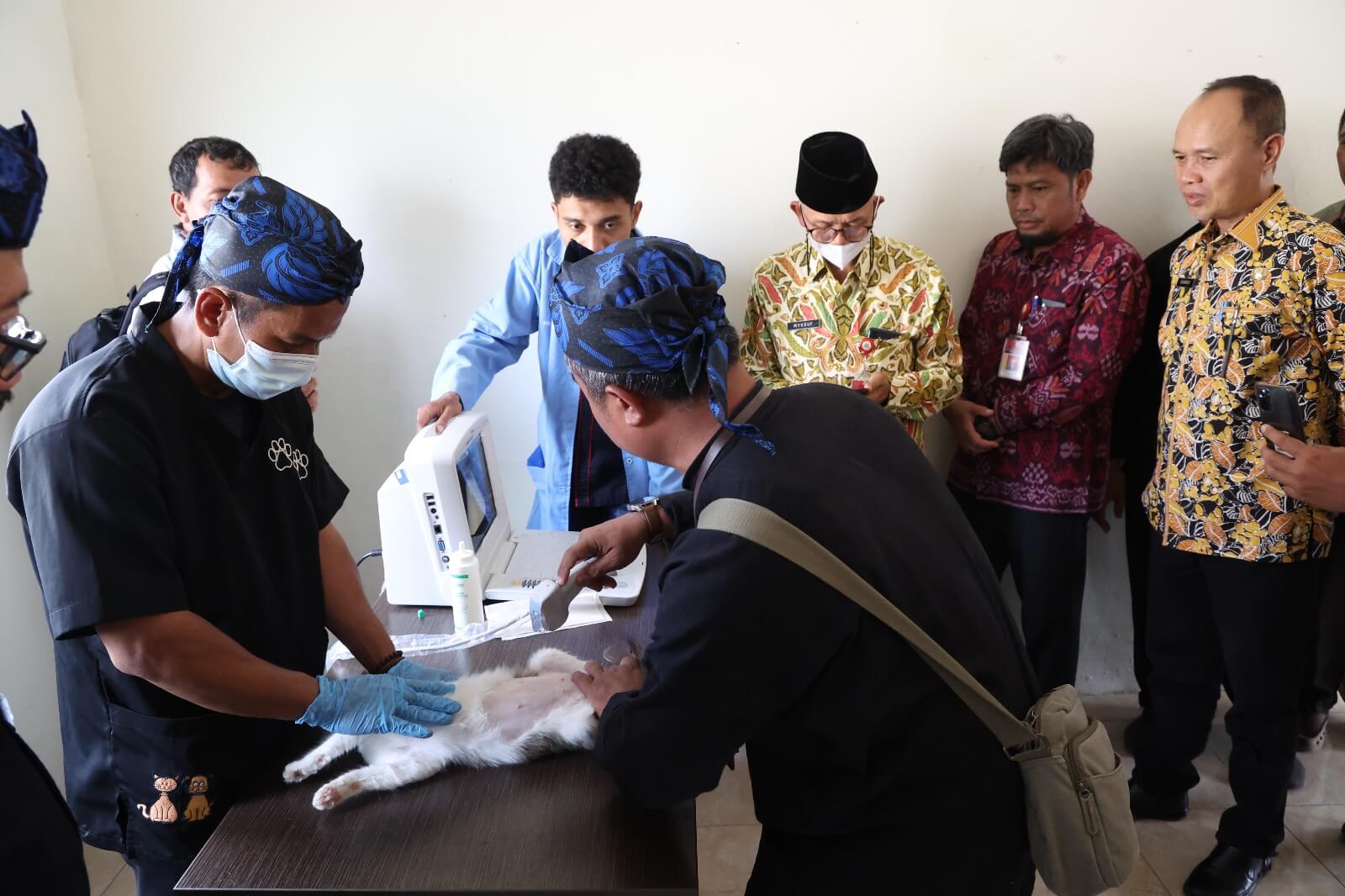 Banten Punya Rumah Sakit Hewan, Ini Fasilitas yang Tersedia