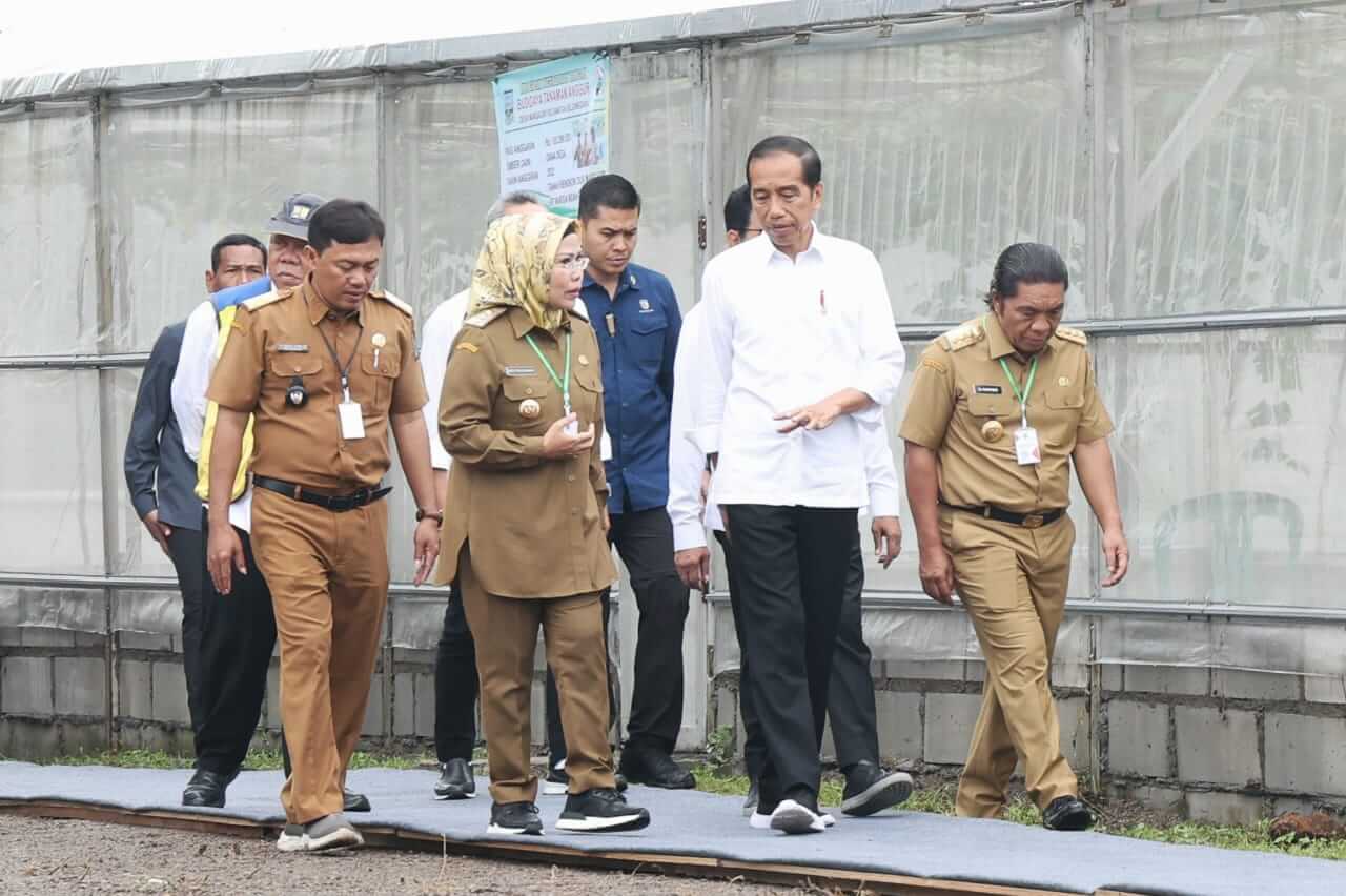 Ungkap Manfaat Dana Desa, Ini yang Bupati Serang Sampaikan ke Jokowi