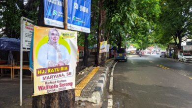 Belum Lama Bebas dari Poster Caleg, Pepohonan Kota Serang Dipasangi Poster Bakal Calon Kepala Daerah