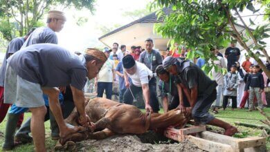 Idul Adha 1445 H Momentum Memperkuat Ketakwaan