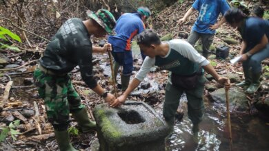Temuan Benda Kuno di Taman Nasional Ujung Kulon Tanda  Pengaruh Awal Budaya India di Jawa