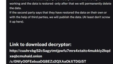 Mewaspadai Pemberian Gratis Kunci Dekripsi Server PDNS