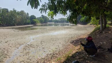 Situ Ciwaka Walantaka Kota Serang Mengering