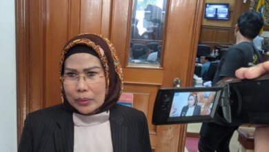 Tatu Sebut Koalisi dengan PDIP di Pilkada Banten  Belum Final