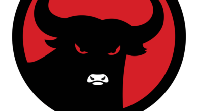 Airin-Ade akan Dideklarasikan Pada 25 Agustus 2024 sebagai Calon Gubernur dan Wakil Gubernur Banten