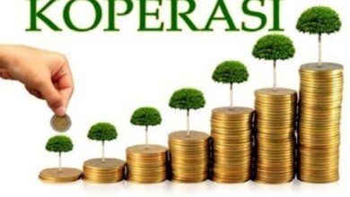 Kementerian Koperasi-UKM Gandeng OJK Tindak Tegas Koperasi Tak Berizin