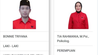 Tia Rahmania Caleg DPR RI Terpilih Dari Dapil Banten l Diberhentikan Dari Anggota PDIP, Kursinya Diberikan ke Bonie Triyana
