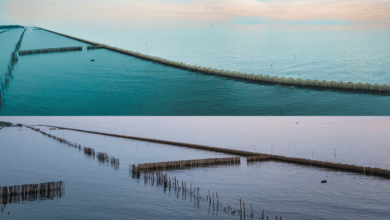 Kasus Pagar Laut, Kegagalan Pengawasan Maritim di Tangerang