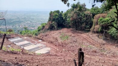 Warga Protes Penebangan Pohon di Area Puncak Gunung Pinang Kabupaten Serang