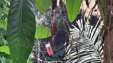 Koper Misterius Tergantung di Jembatan Lingkar Selatan Kota Serang, Isinya Pakaian