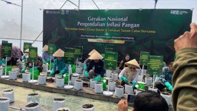 Teknologi Digital Farming, Cara Baru Tanam Cabai Fasilitasi BI Banten untuk Petani Pandeglang