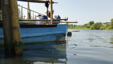 Pencemaran Sungai Ciujung Terus Berlanjut, Tambak Warga Tirtayasa Kabupaten Serang Ikut Kena Getahnya