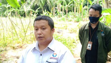 Ombudsman Dorong SPMB 2025 di Banten Lebih Transparan