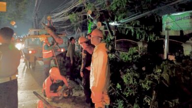 Pohon dan Tiang Listrik di Jalan Menuju Banten Lama  Tumbang Dihantam Truk